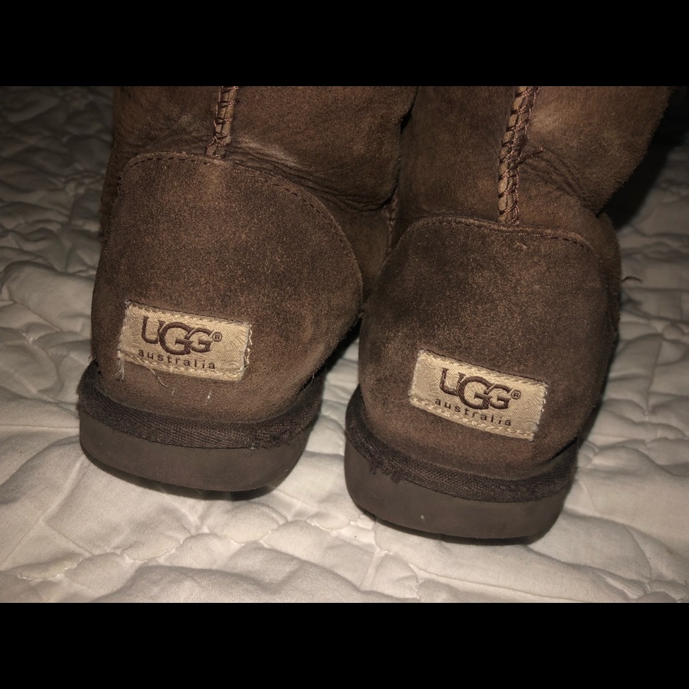 Brown short classic ugg boots